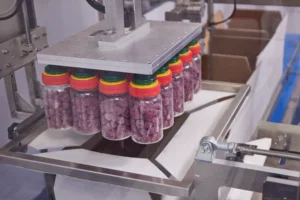 RELENTLESS-V Form-Fill-Seal Case Packer