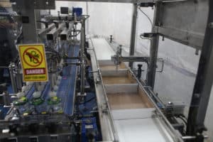 Encaisseuse RELENTLESS-V Form Fill Seal